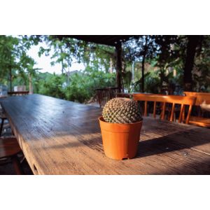 loungeset soorten