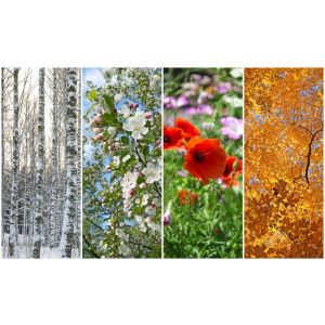 tuinmeubelen schoonmaaktips