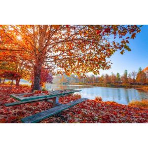 tuinmeubelen herfst klaar