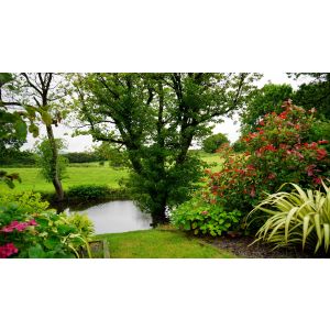 de juiste tuin