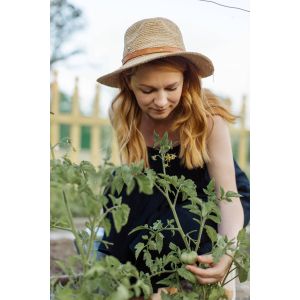 moestuin beginnen