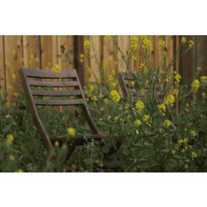 landelijke tuin