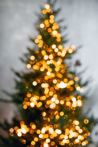 pexels vladislav murashko 6117267 (1)