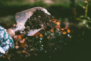 Schep met aarde in tuin, tuinieren, buitenactiviteit.