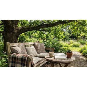 Houten tuinbank met kussens onder grote boom